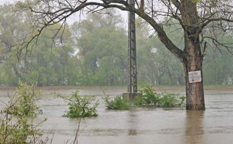 haon-news-charlotteinform-20100420-1116050411-1669.jpg haon-news-charlotteinform-20100420-1116050411-1669.jpg